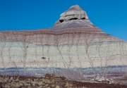 Petrified Forest NP 14-2664